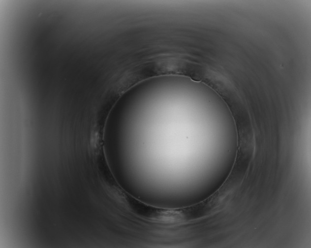 X0000088370087200705291336