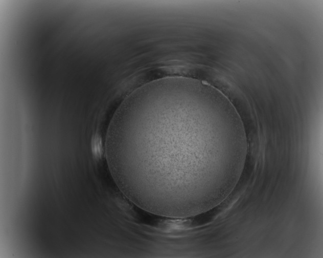 X0000088370089200705291336