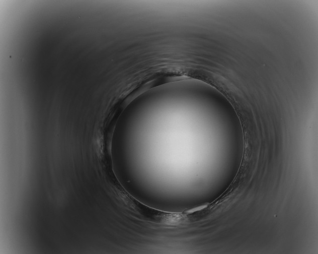 X0000088370096200705291336