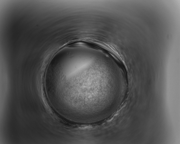 X0000088370097200705291336