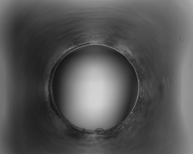 X0000088370098200705291336