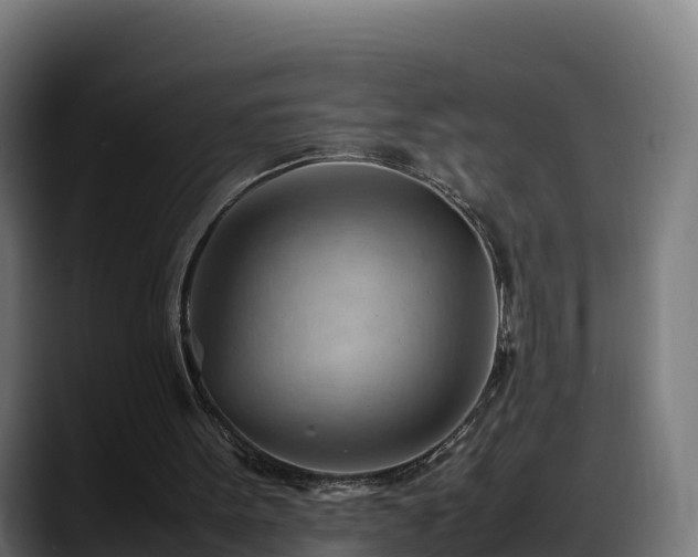 X0000088370099200705291336