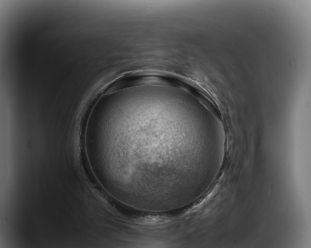 X0000088370101200705291336
