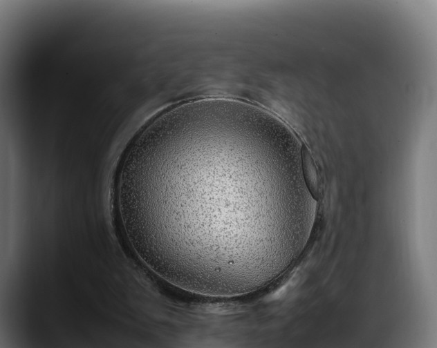 X0000088370103200705291336