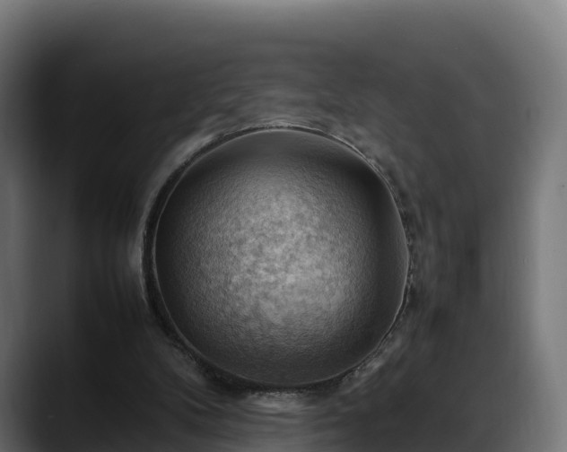 X0000088370104200705291335