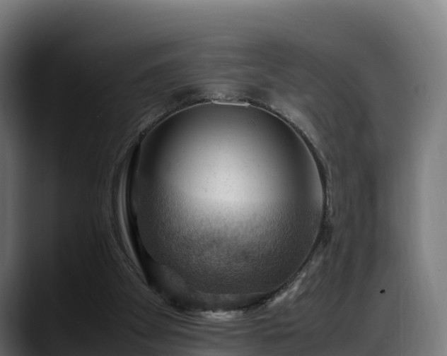X0000088370105200705291335