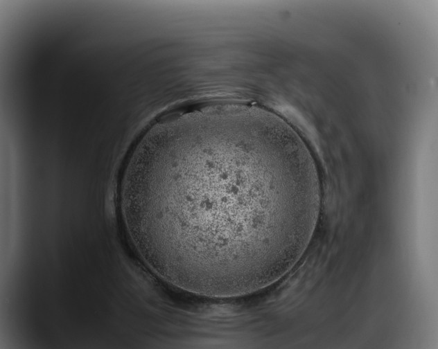X0000088370107200705291335