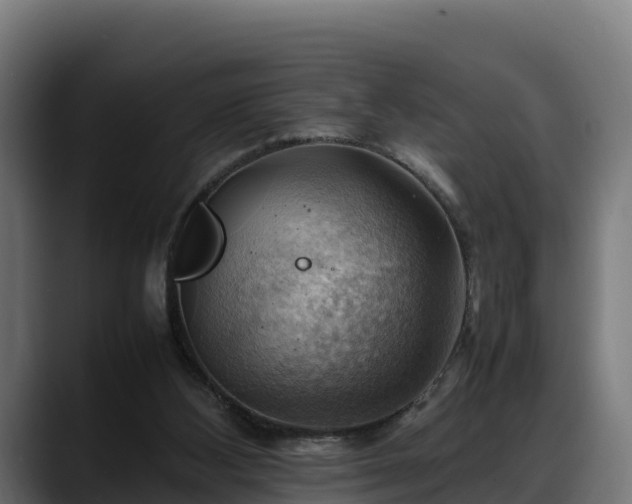 X0000088370108200705291335