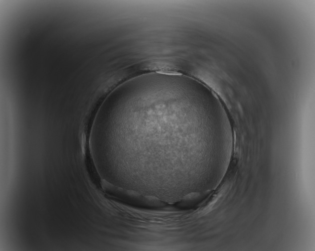 X0000088370109200705291335