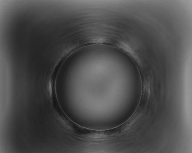 X0000088370110200705291335