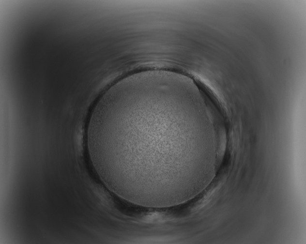 X0000088370111200705291335