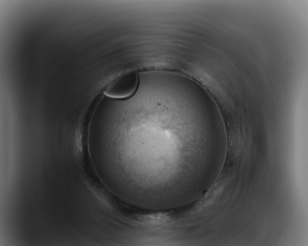 X0000088370112200705291335