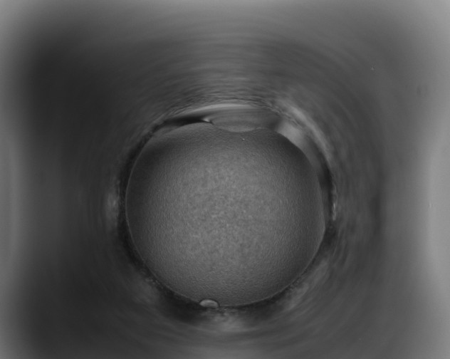 X0000088370113200705291335