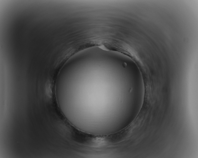 X0000088370114200705291335