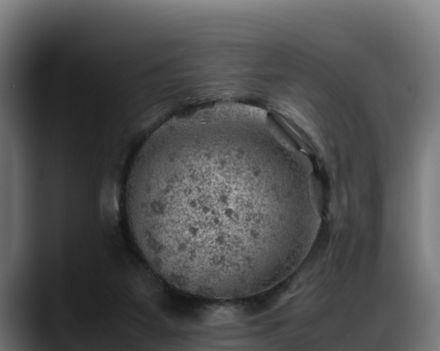 X0000088370115200705291335