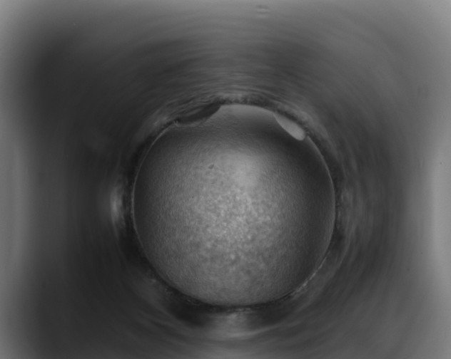 X0000088370116200705291335