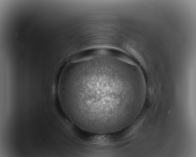 X0000088370117200705291335