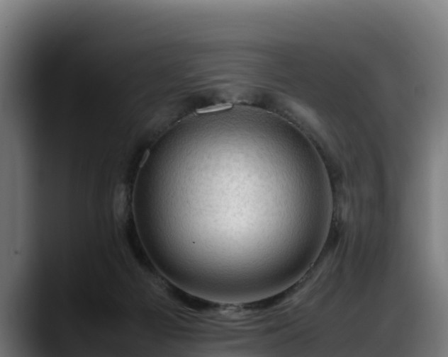 X0000088370121200705291335