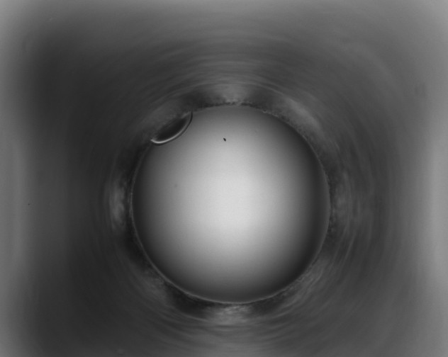 X0000088370122200705291335