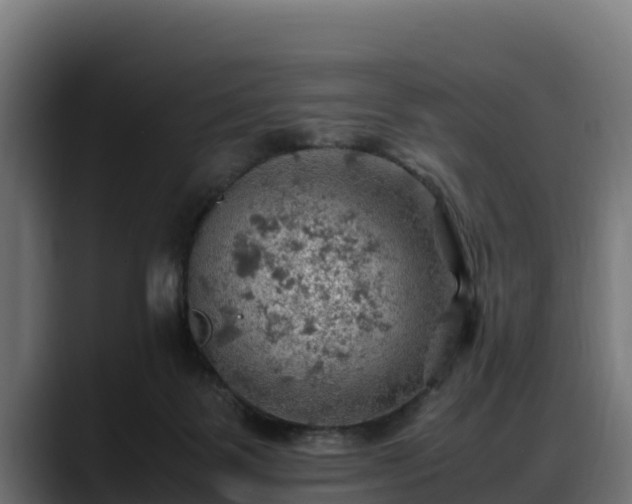 X0000088370123200705291335