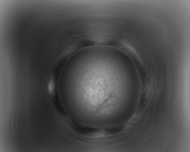 X0000088370124200705291335