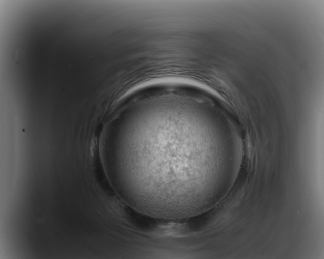X0000088370125200705291335