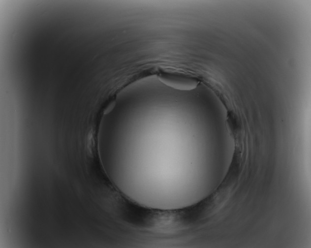 X0000088370127200705291335