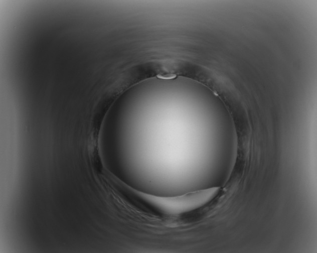 X0000088370129200705291335