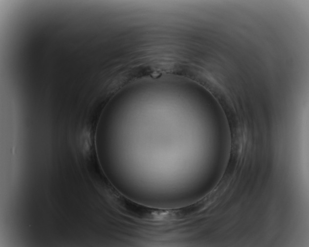 X0000088370130200705291335