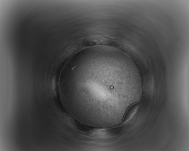 X0000088370132200705291335