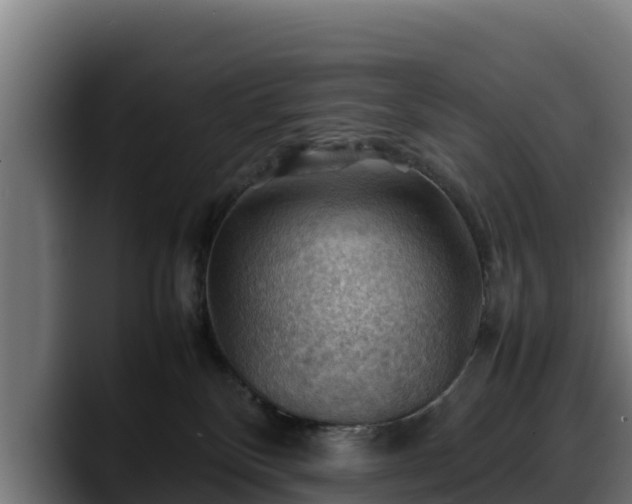 X0000088370136200705291335