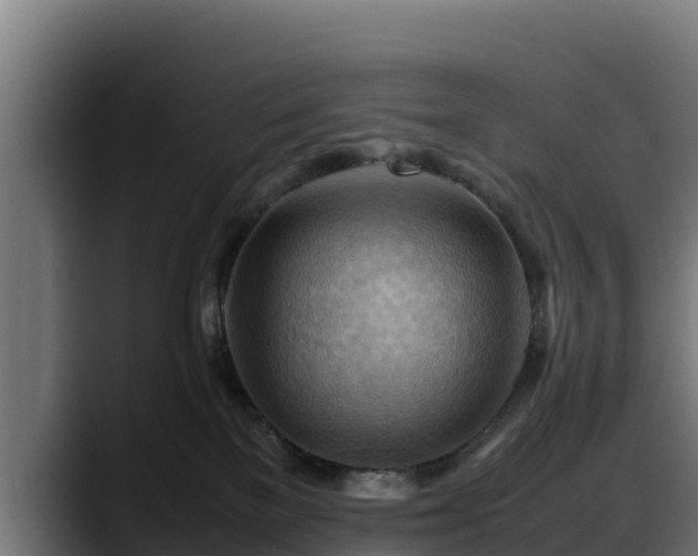 X0000088370137200705291335
