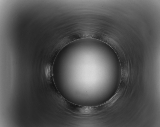 X0000088370142200705291335
