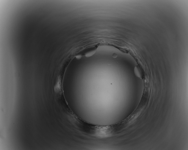 X0000088370143200705291335