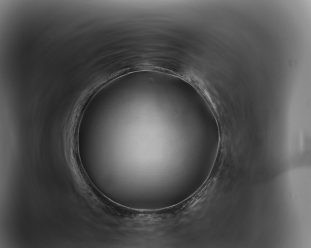X0000088370145200705291334