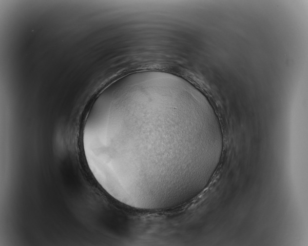 X0000088370146200705291334