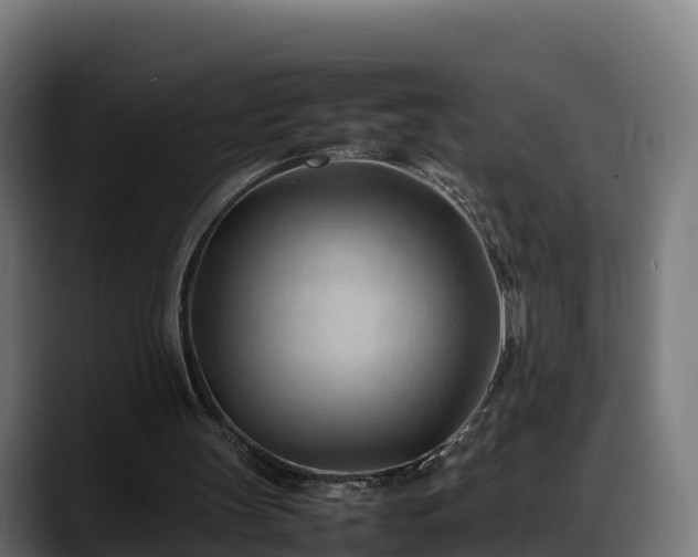X0000088370147200705291334