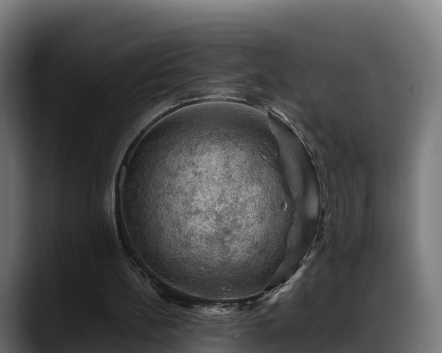 X0000088370148200705291334