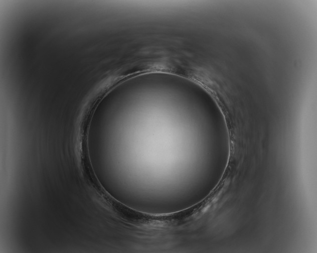 X0000088370149200705291334