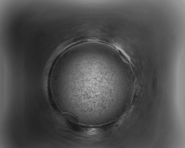 X0000088370151200705291334