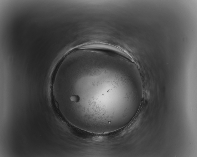 X0000088370152200705291334