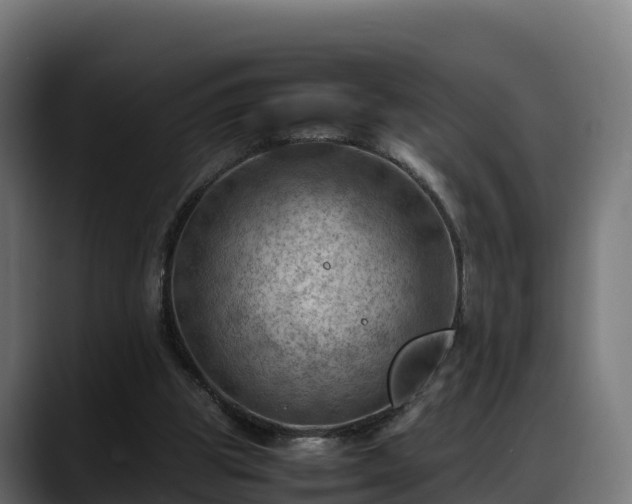 X0000088370153200705291334
