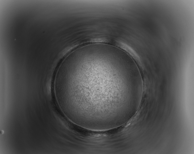 X0000088370155200705291334