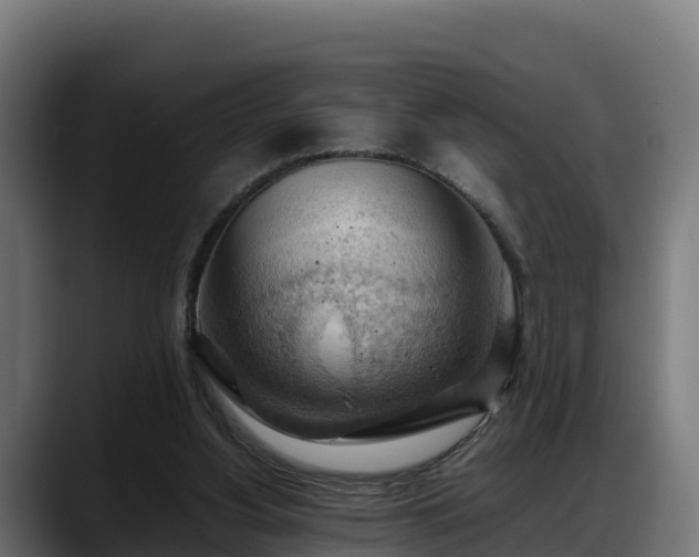 X0000088370156200705291334