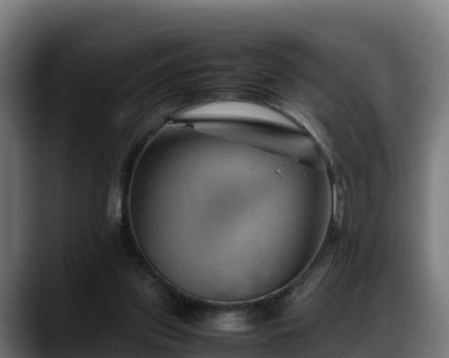 X0000088370157200705291335