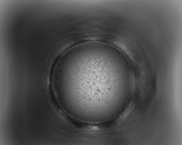 X0000088370159200705291335