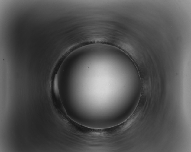 X0000088370160200705291335