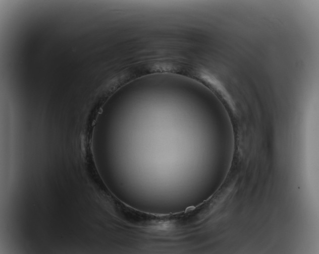 X0000088370161200705291335