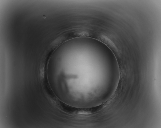 X0000088370163200705291335