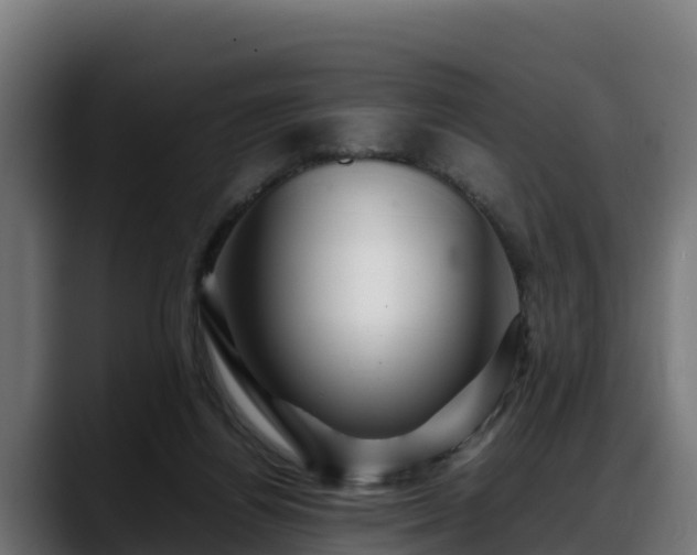 X0000088370164200705291335